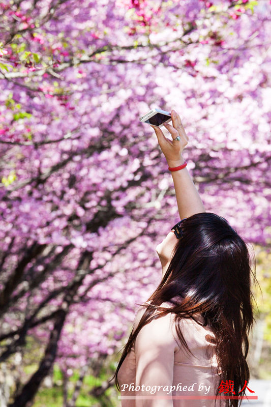http://i.dcview.tw/gallery/201302/e4124eadafbff750eb29dacf6a31a3b7.jpg