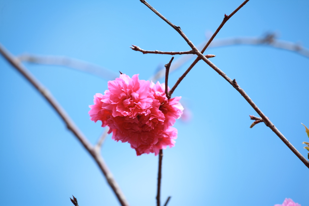 http://i.dcview.tw/gallery/201302/e82f8a9cfda27307e29c4600cbe95eac.jpg