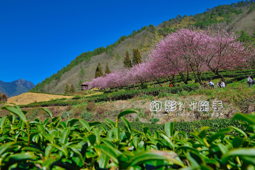 http://i.dcview.tw/gallery/201302/eba6b90e963fac06f910d337179dbfaa.jpg