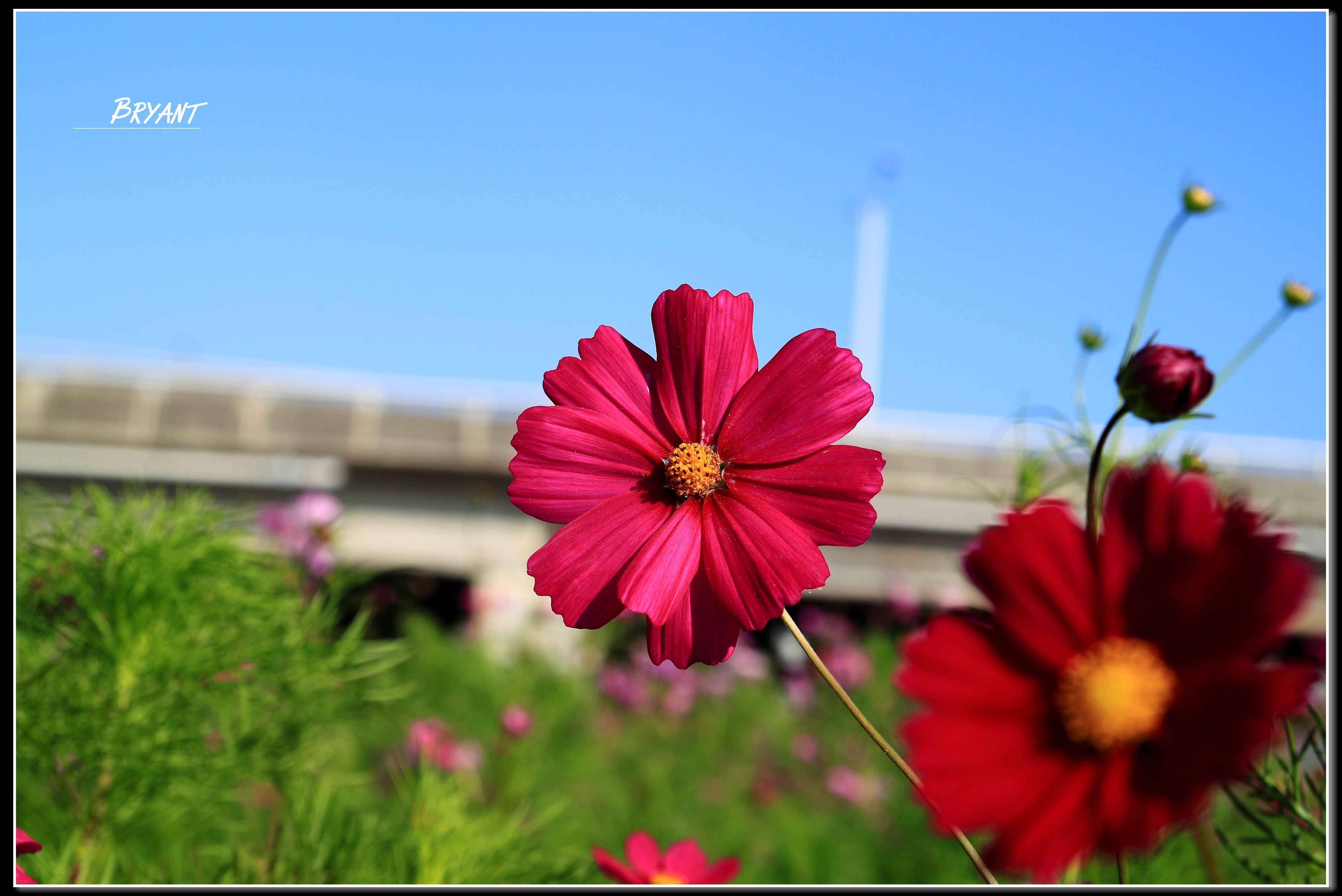 http://i.dcview.tw/gallery/201302/ebf1ab793066c669cfbf18596d84e6da.jpg