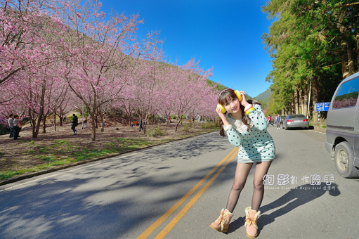 http://i.dcview.tw/gallery/201302/ec65d8005c0a1d6421951b5349705463.jpg