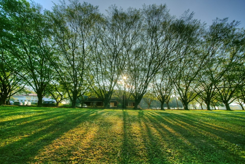 http://i.dcview.tw/gallery/201302/f134c615339a5f7865d7709407a27fca.jpg