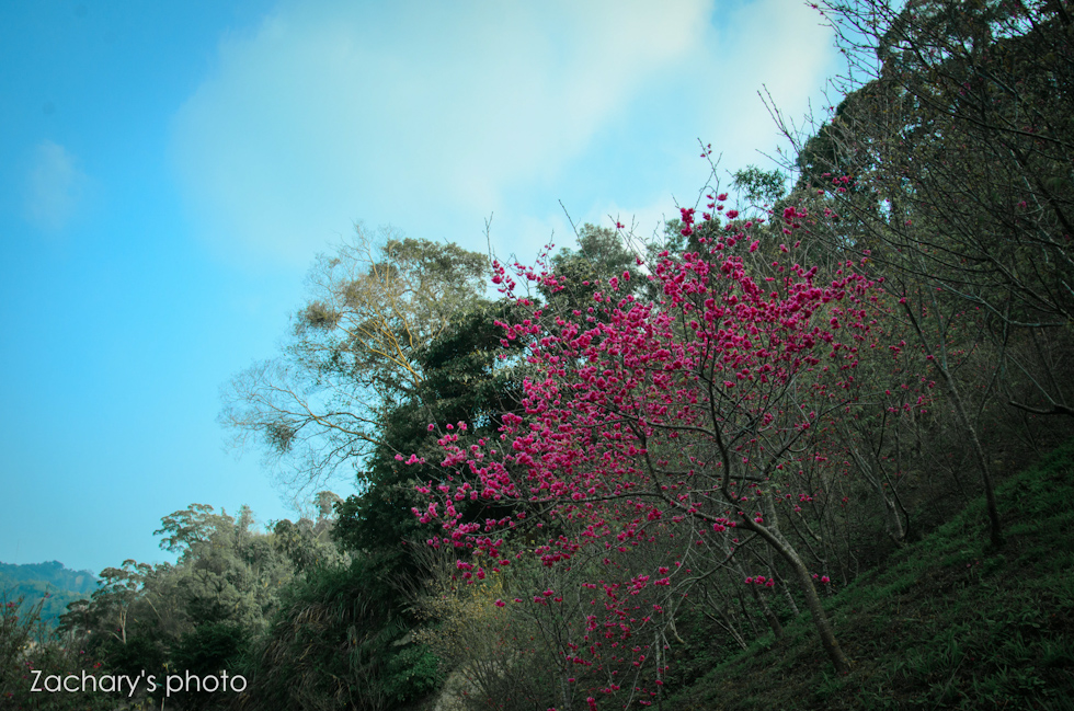 http://i.dcview.tw/gallery/201302/f1658ea023ff16c6b25142aecb6832fc.jpg