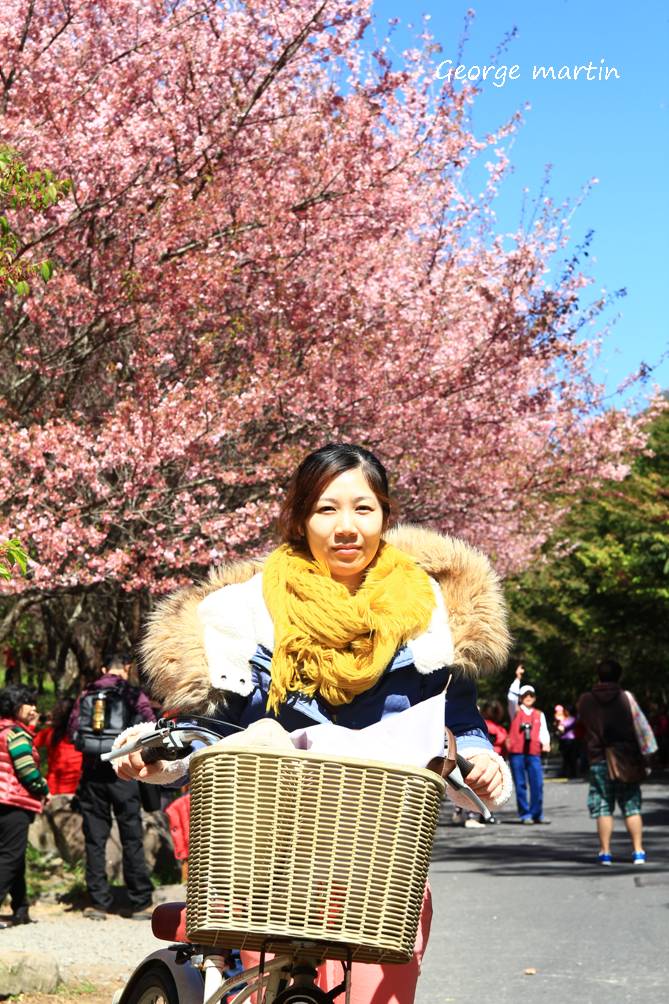 http://i.dcview.tw/gallery/201302/f59d444d8978d8d5b6279f58534c6e2f.jpg