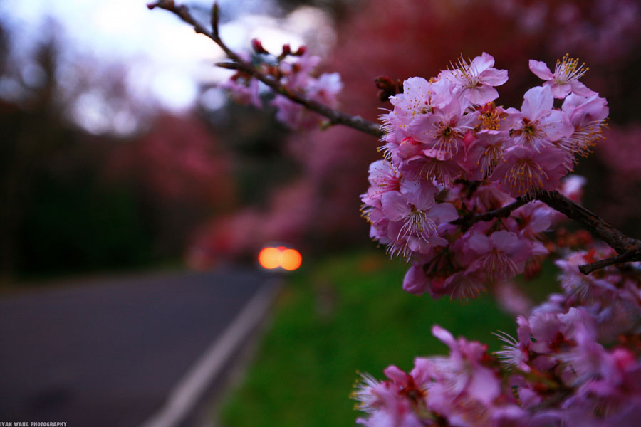 http://i.dcview.tw/gallery/201302/f6d933c055b74a68673a7f3d42184686.jpg