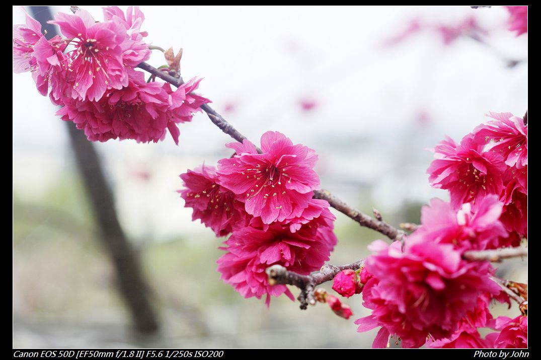 http://i.dcview.tw/gallery/201302/f8d3f7d8ff287dbe0993e4bac715e238.jpg