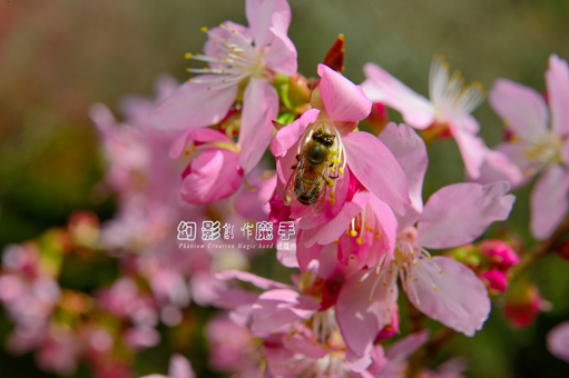 http://i.dcview.tw/gallery/201302/fae98a57d68a8e24bde5dfe8a8ef5959.jpg