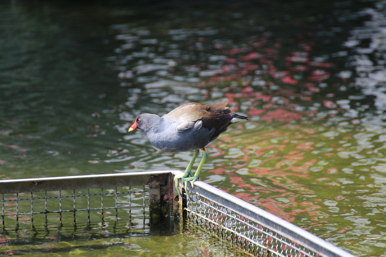 http://i.dcview.tw/gallery/201303/05be497ad635763595b281675f76ae0f.jpg