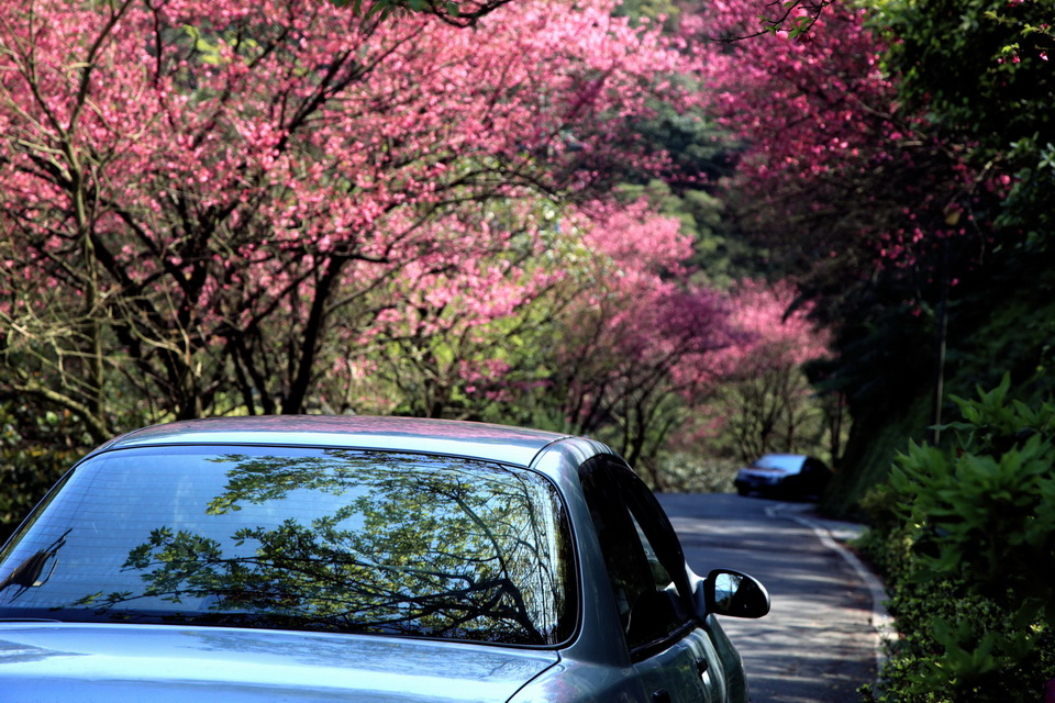 http://i.dcview.tw/gallery/201303/1054f40c7abc78e9fa6296d2db2aeb37.jpg