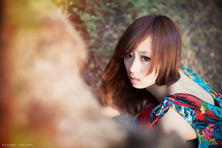 http://i.dcview.tw/gallery/201303/128da856bd601d460d8bb6b39c573fdb.jpg
