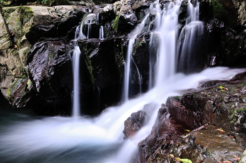 http://i.dcview.tw/gallery/201303/170a1c039f30fbdfb85d00d927cabbd8.jpg