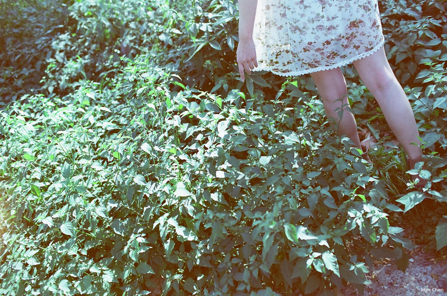 http://i.dcview.tw/gallery/201303/173f99e6a1e2b850189f8fbb45387767.jpg