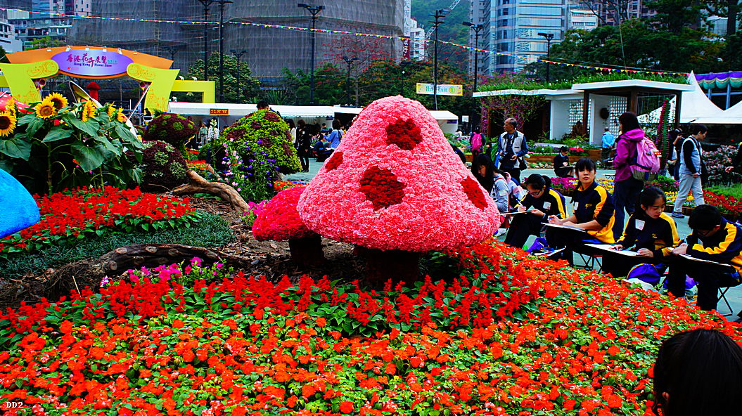 http://i.dcview.tw/gallery/201303/1cd0db9eabd3ce0d41770b51445d461e.jpg