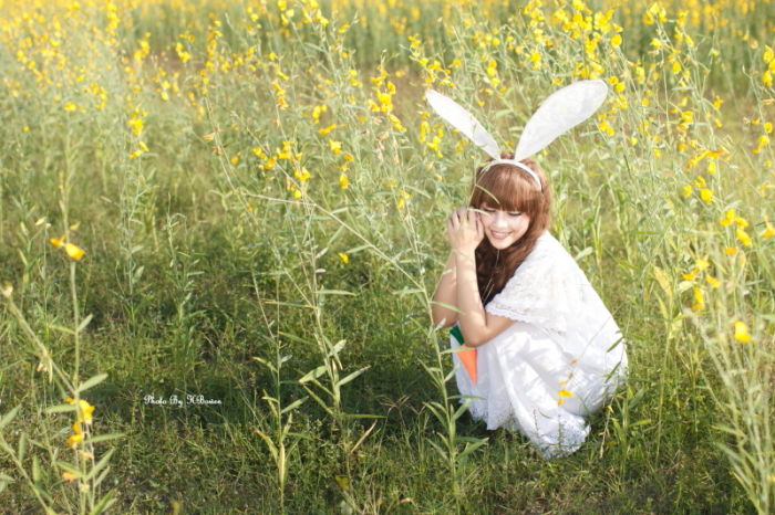 http://i.dcview.tw/gallery/201303/1febc90b5d5fb548b3b1cf61208de4a1.jpg