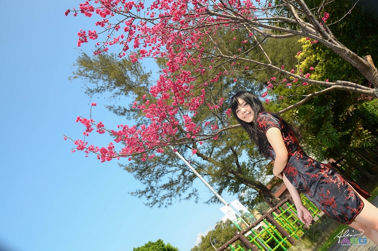 http://i.dcview.tw/gallery/201303/2c9b88d016c888f8af0f364ea035fce6.jpg