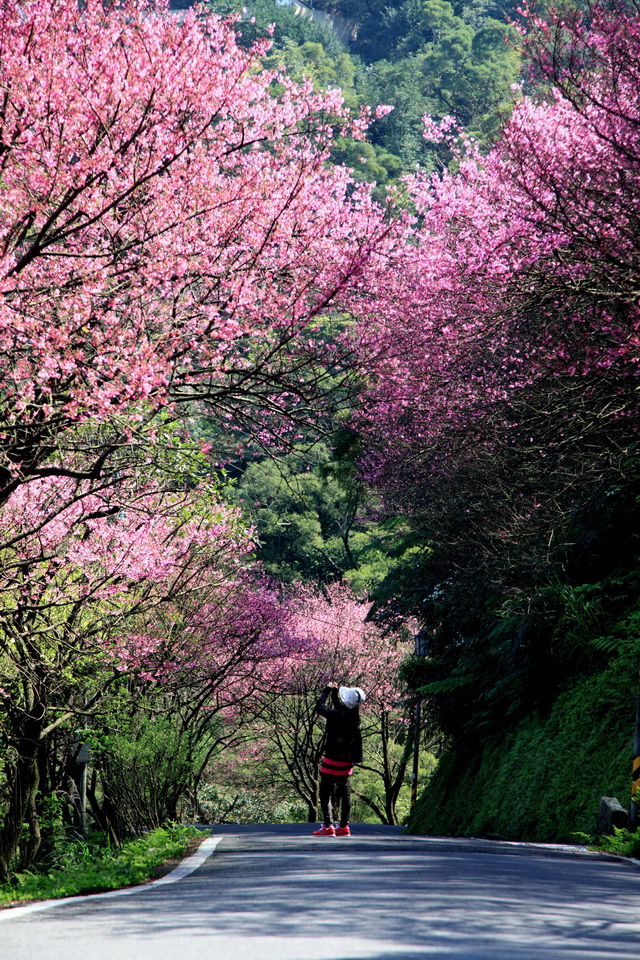 http://i.dcview.tw/gallery/201303/2d775909943514968b25d0c1aa046306.jpg