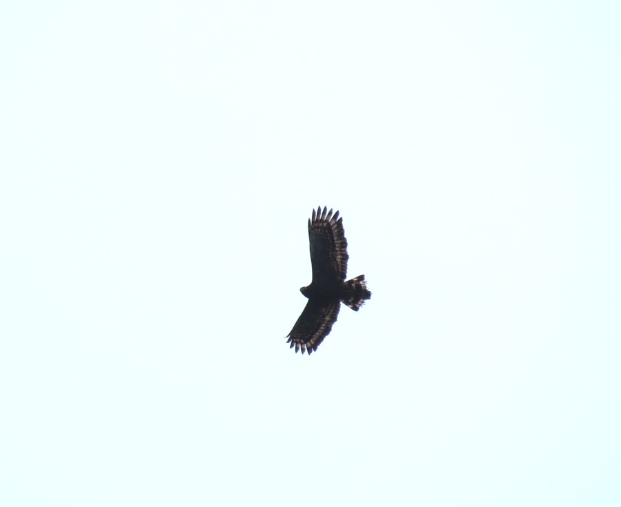 http://i.dcview.tw/gallery/201303/3342af5691d7e2093b98fa81b32e88d0.jpg