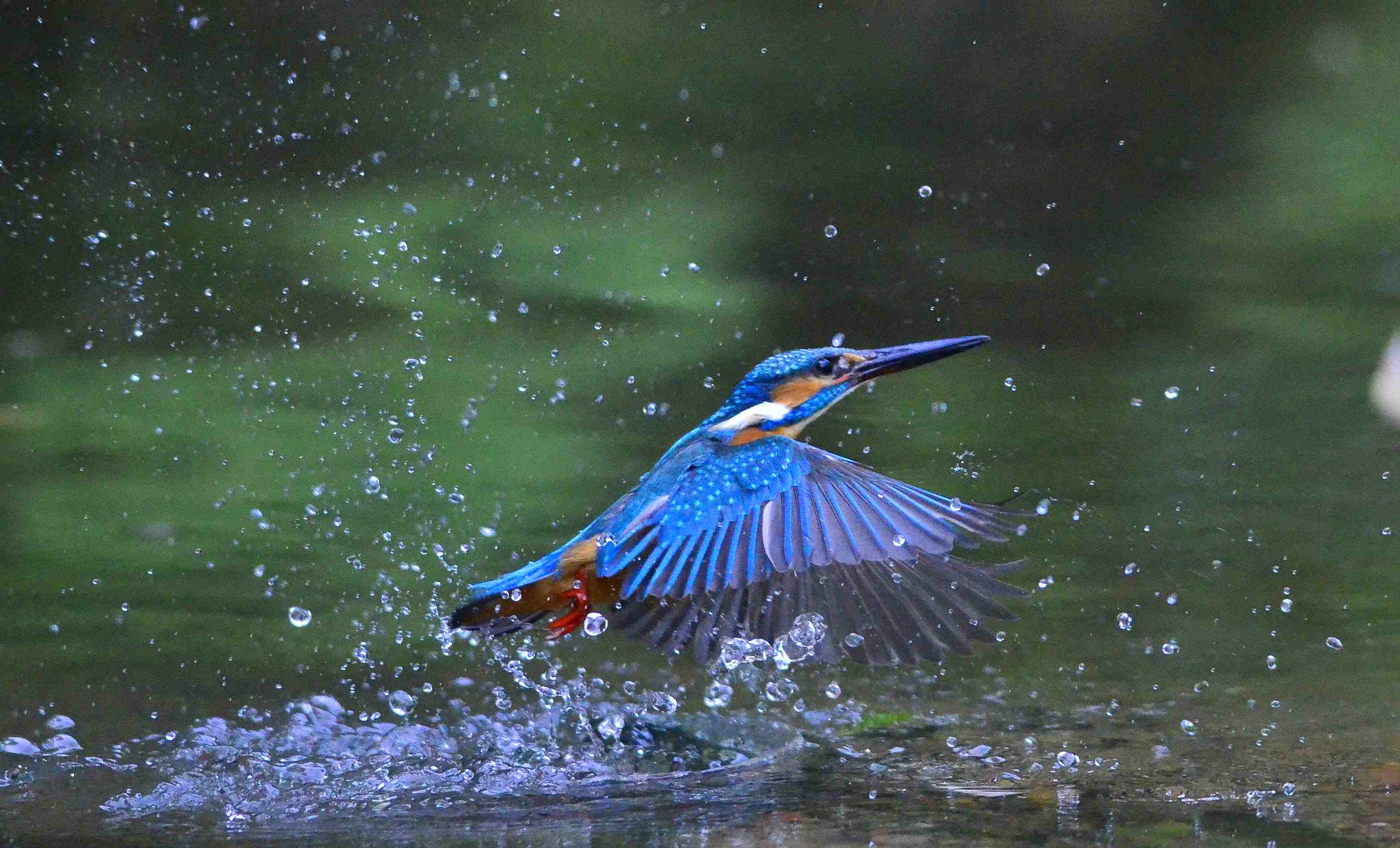 http://i.dcview.tw/gallery/201303/33d0e74574afd9b12fa337ec616de845.jpg