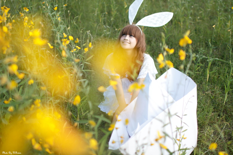 http://i.dcview.tw/gallery/201303/3463bb2962c50ec0310d437cff148365.jpg