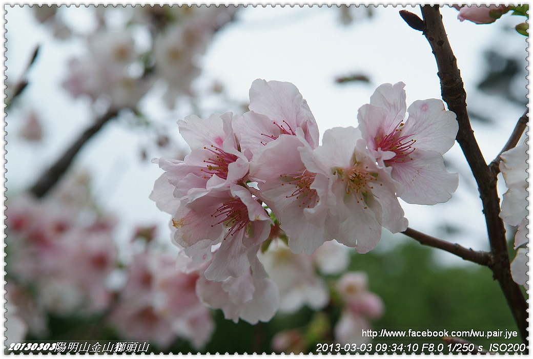 http://i.dcview.tw/gallery/201303/35411fb5759e134e5c8f11213d97d3a0.jpg