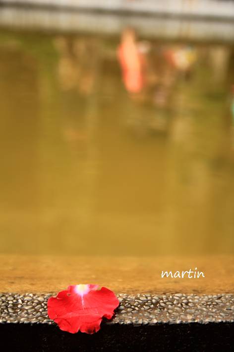http://i.dcview.tw/gallery/201303/3a17aab70f1788802725b93213bae6da.jpg