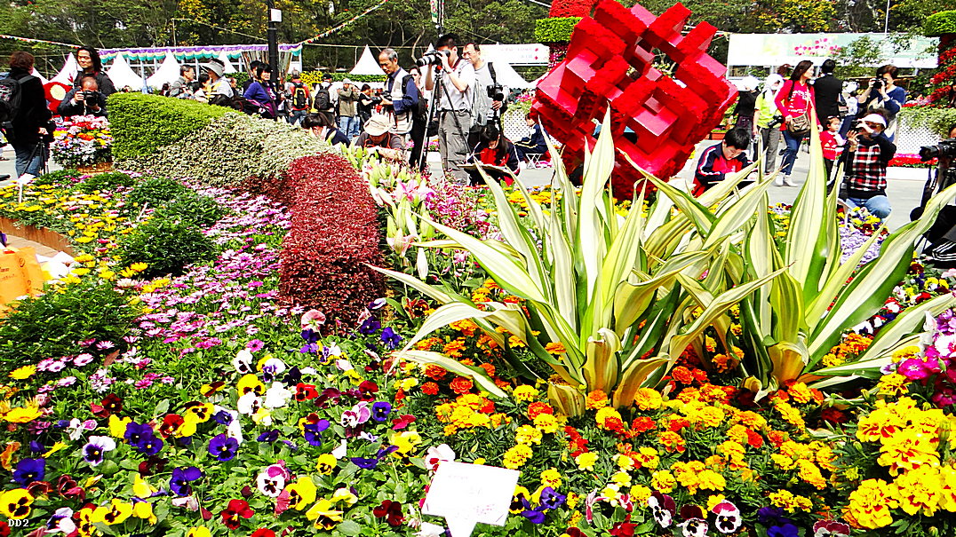 http://i.dcview.tw/gallery/201303/3f98da79155e32bfb0eeb8f78c0727d9.jpg