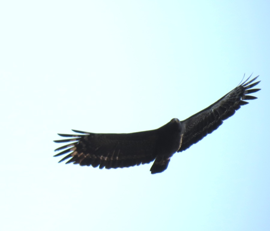 http://i.dcview.tw/gallery/201303/47b53312df4499a5f22892fd356deb92.jpg