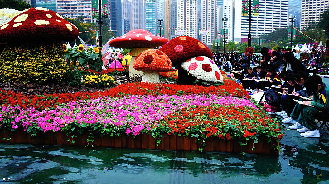 http://i.dcview.tw/gallery/201303/4cced29779b153f20e7a81b1136a0cdd.jpg