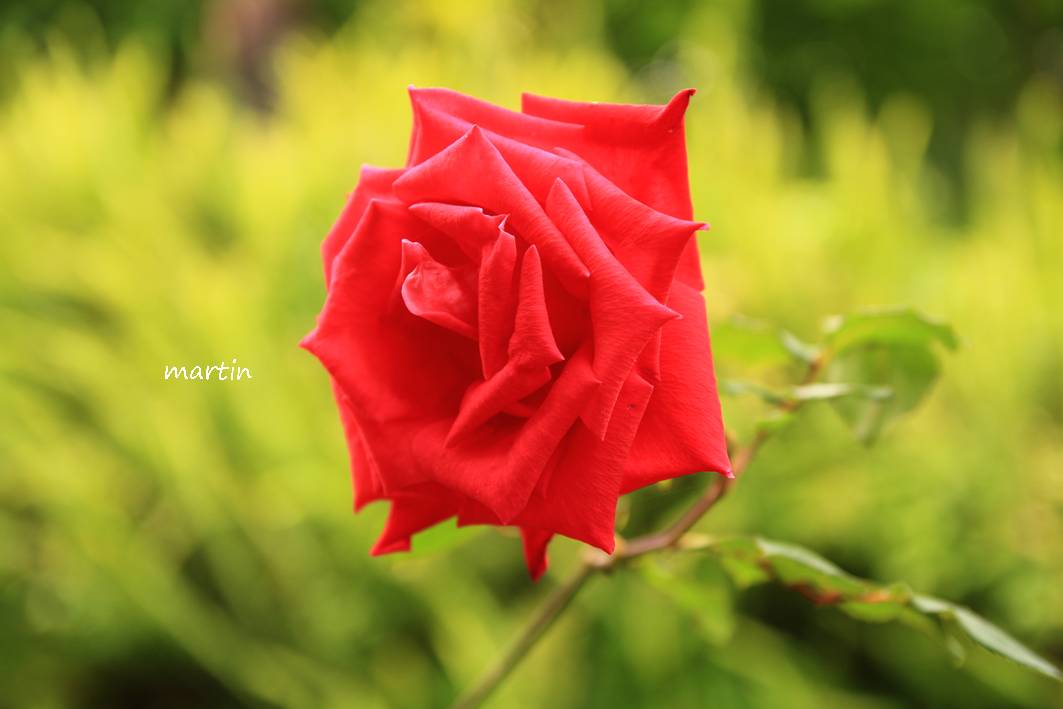 http://i.dcview.tw/gallery/201303/4e7a170d79340edbb4ed02c2fbacfa32.jpg