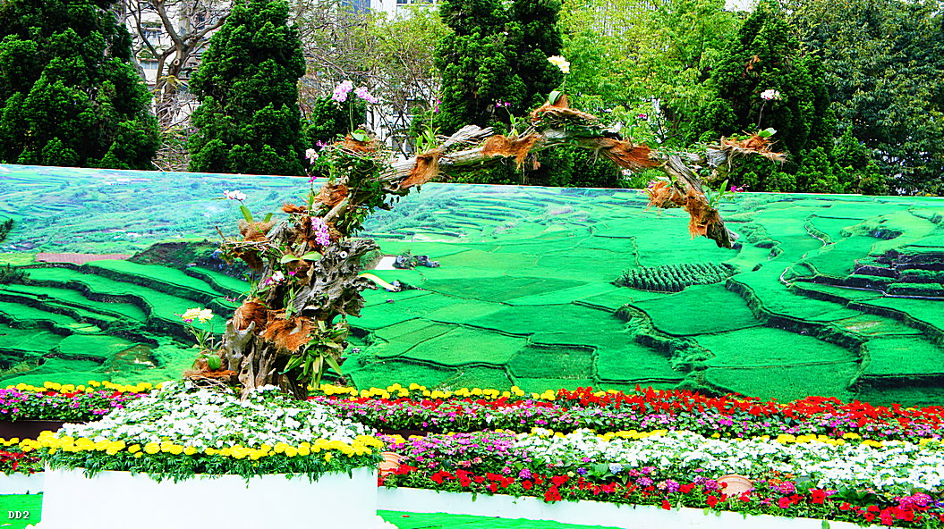 http://i.dcview.tw/gallery/201303/535b7a22dbc85432d0ad31a8220e615b.jpg