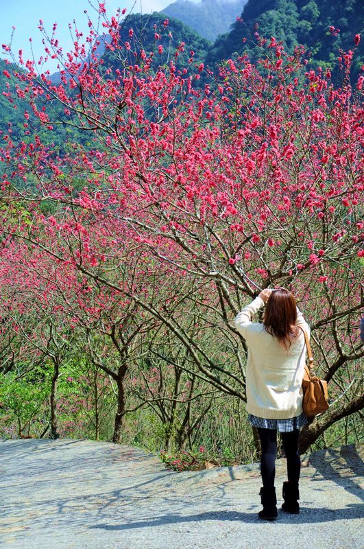 http://i.dcview.tw/gallery/201303/5f57c888af2367da76b97cf95bd15b1e.jpg
