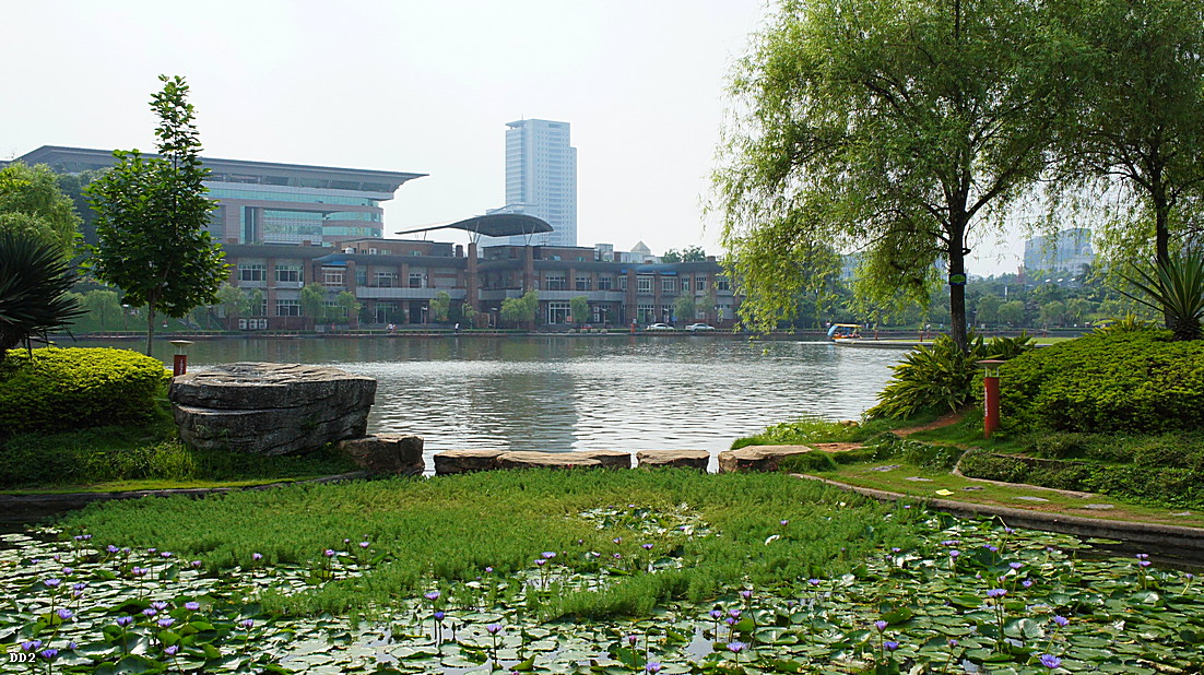 http://i.dcview.tw/gallery/201303/6c226bb233dda92e87e174eed7a42495.jpg
