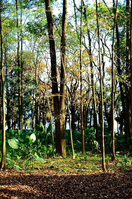 http://i.dcview.tw/gallery/201303/6cad0a98437b8e22579c43ace412db16.jpg