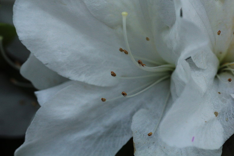 http://i.dcview.tw/gallery/201303/7b2bf29e6dce0ce2a7eb7d4b554d4d4c.jpg