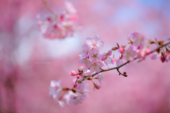 http://i.dcview.tw/gallery/201303/7c78b3e92950c34249ea4106fc5978c3.jpg
