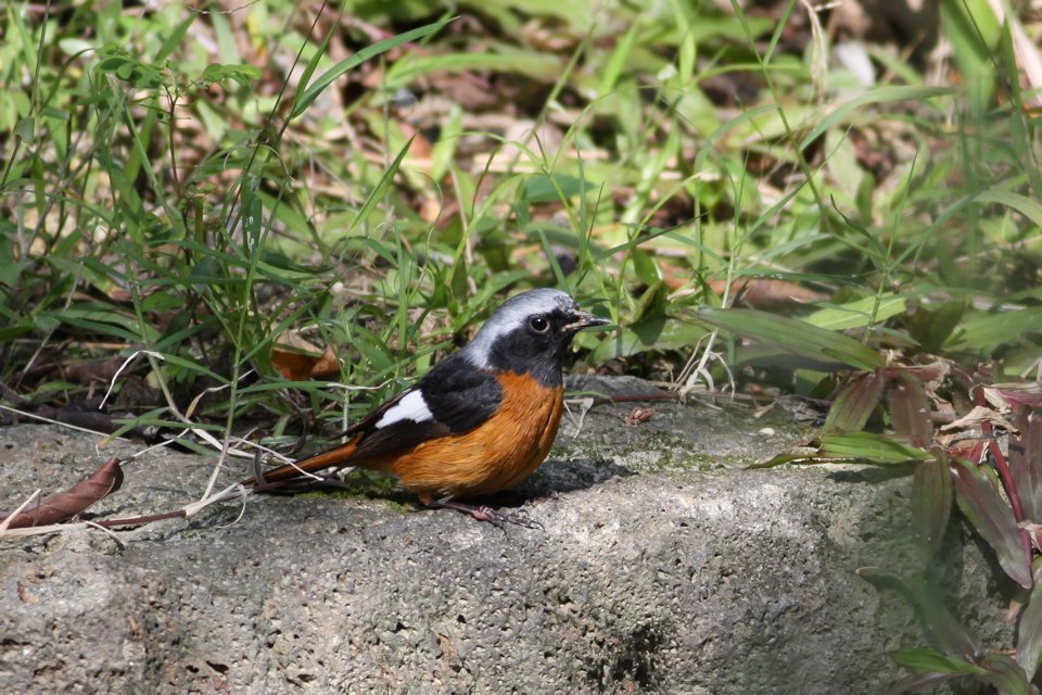 http://i.dcview.tw/gallery/201303/7fcfde618d00333280bc58f62ff7e0b2.jpg