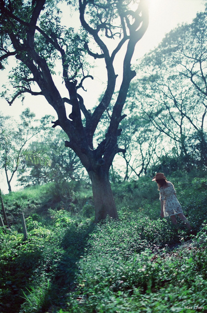 http://i.dcview.tw/gallery/201303/8c17c5cf4fc925e81957fb072243a3ec.jpg