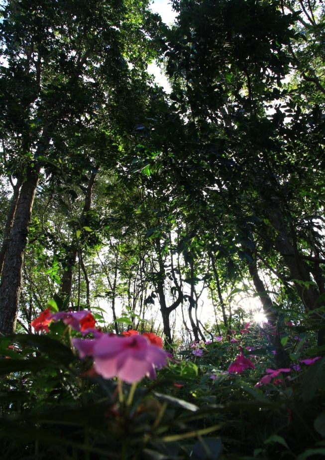 http://i.dcview.tw/gallery/201303/8c9639747e2038d61c50757fdd2b0688.jpg