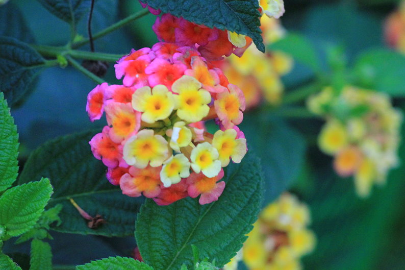 http://i.dcview.tw/gallery/201303/8f43bee61c611ff661a1190c7ae740c8.jpg