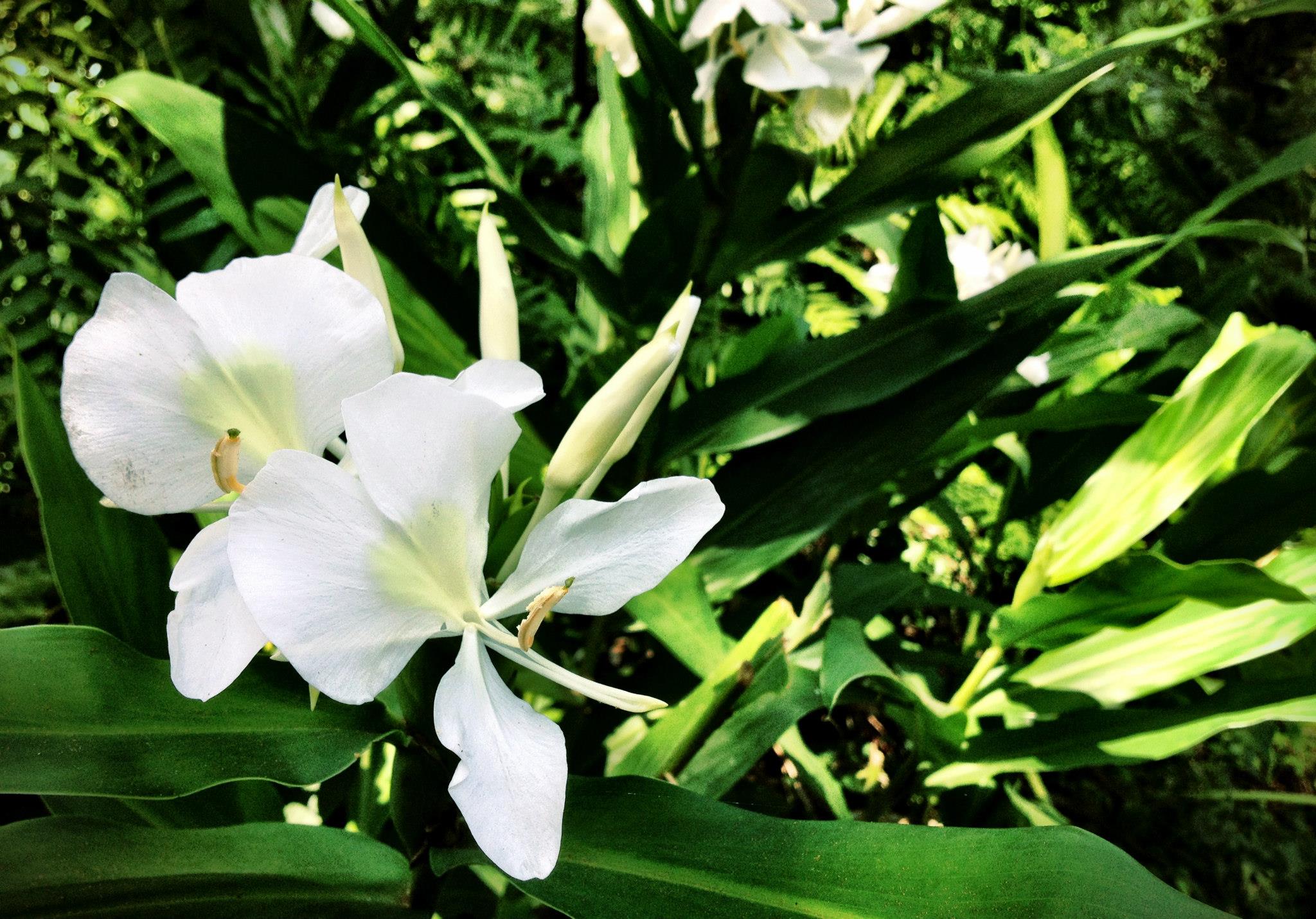 http://i.dcview.tw/gallery/201303/92dc71a46ef53f48ee685a9f5e1b320e.jpg