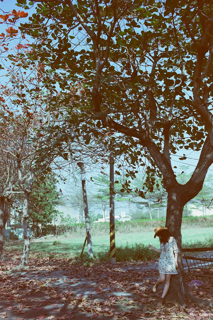 http://i.dcview.tw/gallery/201303/9616ed35a7d69bcf3b66c7af12ad747e.jpg