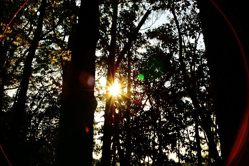 http://i.dcview.tw/gallery/201303/98f0b435220797ecdad7ed1489d9ac24.jpg