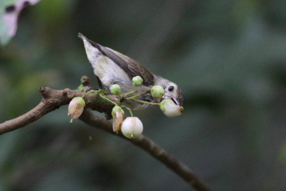 http://i.dcview.tw/gallery/201303/a134082972035bb7a33a351ca6ec345f.jpg