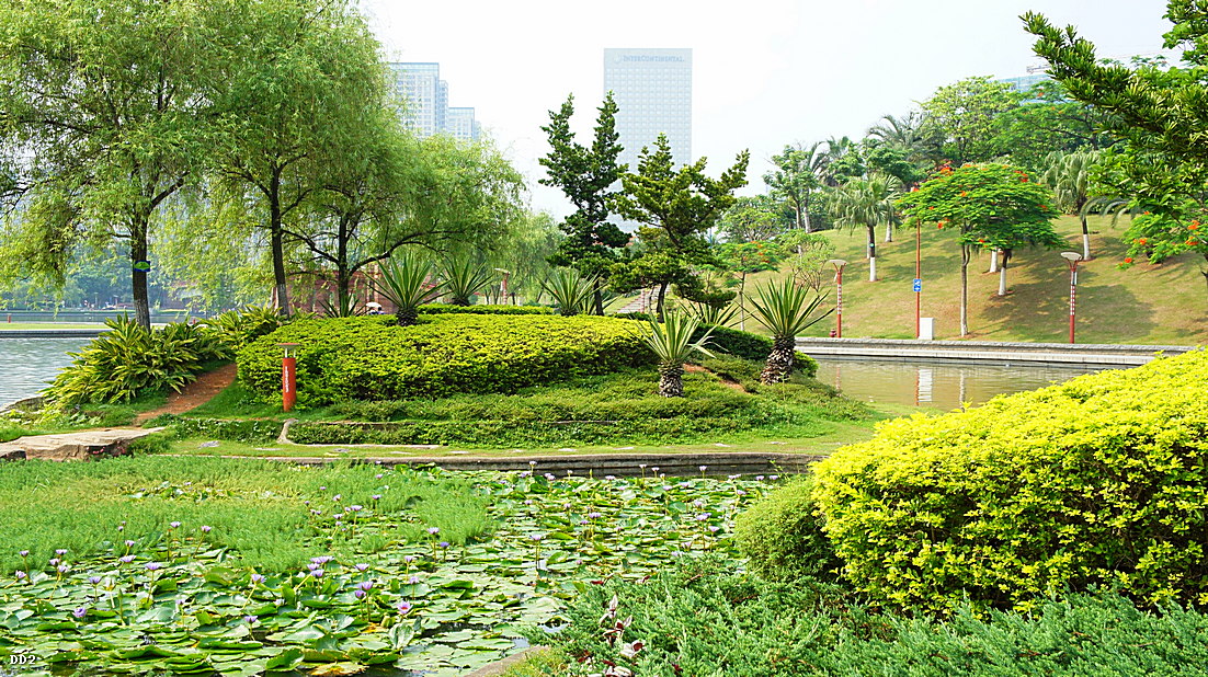 http://i.dcview.tw/gallery/201303/ae6dd3a2e6a3a1c7bc53281101ab4984.jpg