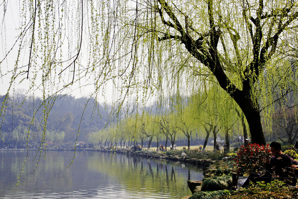 http://i.dcview.tw/gallery/201303/af8959c3e0400e26cd39beab55698903.jpg