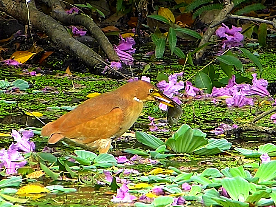 http://i.dcview.tw/gallery/201303/b6de50671315f31e728051f23f51a2fb.jpg