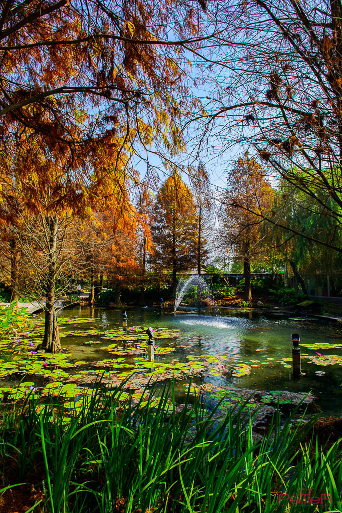 http://i.dcview.tw/gallery/201303/bdd3ec1d55add7c889d61a9cdfce3231.jpg