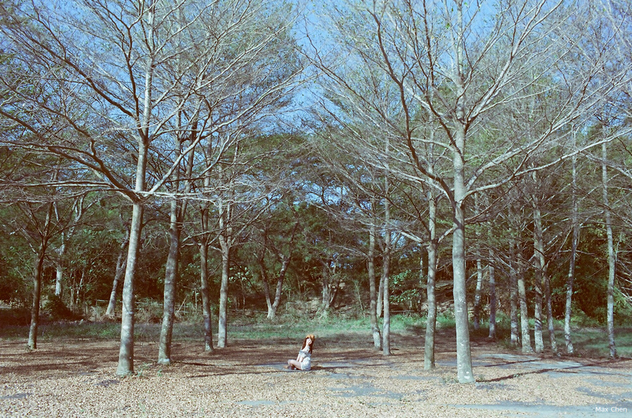 http://i.dcview.tw/gallery/201303/bf6fdda493759fd30c973e4d75029c6b.jpg