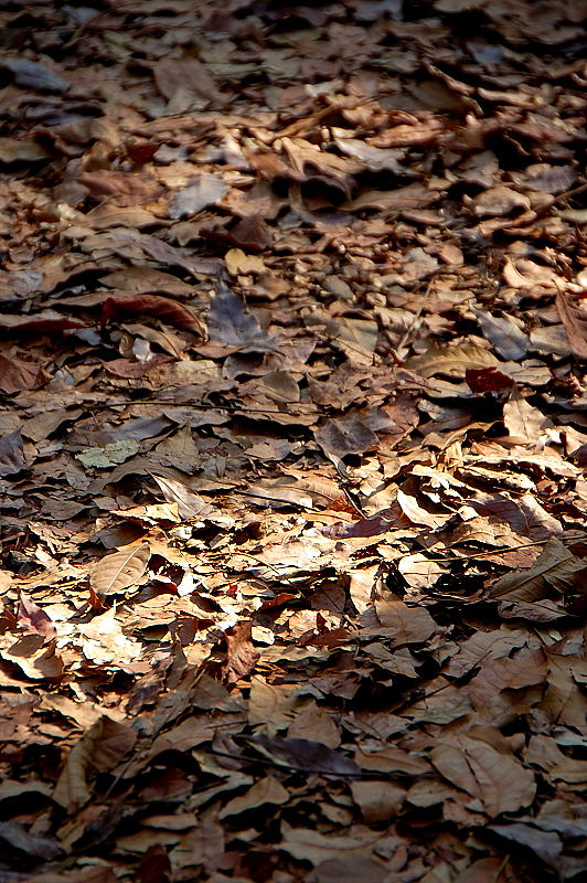 http://i.dcview.tw/gallery/201303/c3680f09831730c87f468aa6574159f6.jpg