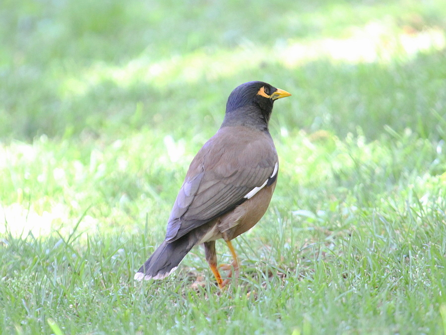 http://i.dcview.tw/gallery/201303/d30ab982e5bedb38f843195bcc74dde6.jpg